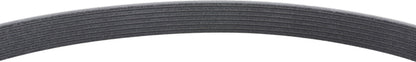 Mitsuboshi Accessory Drive Belt 7PK1720