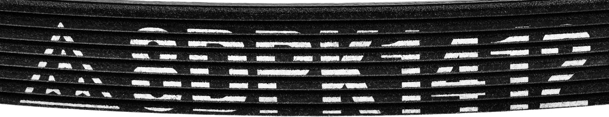 Mitsuboshi Accessory Drive Belt 8DPK1412