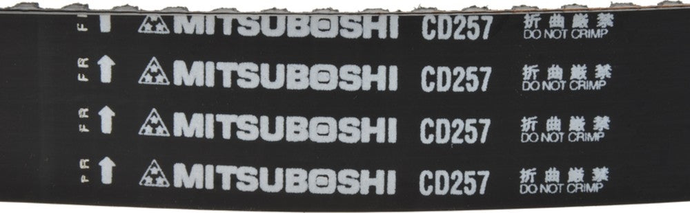 Mitsuboshi Engine Timing Belt