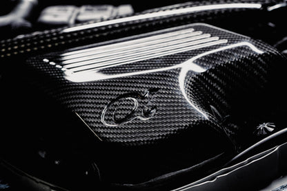 AMS Performance 15-18 BMW M3 / 15-20 BMW M4 w/ S55 3.0L Turbo Engine Carbon Fiber Intake AMS.39.08.0001-1 AMS.39.08.0001-1 User 1