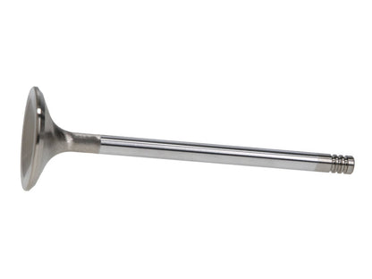 Manley Ford 6.2L Race Master Intake Valves 43mm HD B (Set of 8) 11613B-8 11613B-8 User 1