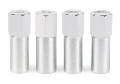 Ford Valve Cove Bolt Kit 4pk Chrome w/Ford Logo FRD302-315 302-315 Photo - Unmounted