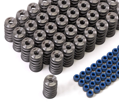 GSC Power Division GSC P-D Audi R8 V10 / Lamborghini Huracan V10 5.2L Valve Spring & Ti Retainer Kit (w/Seats & Seals) 5025 5025 User 1
