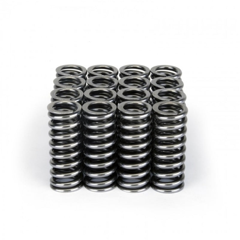 Skunk2 Alpha Series Valve Spring Set Honda SOHC D-Series VTEC 311-05-1345 Photo - Unmounted