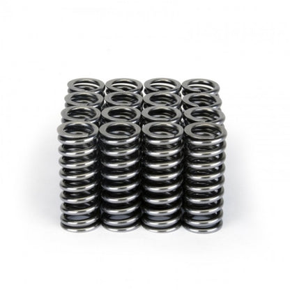 Skunk2 Alpha Series Valve Spring Set Honda SOHC D-Series VTEC 311-05-1345 Photo - Unmounted