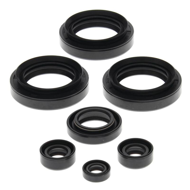 Vertex Pistons Vertex Gaskets 99-05 Arctic Cat 250 2x4 Oil Seal Kit 822145 822145 Photo - Primary