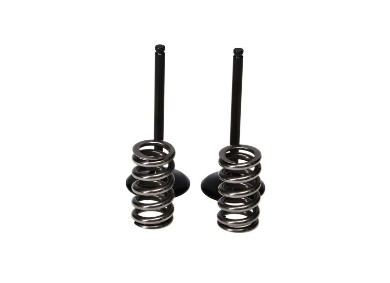 ProX 07-22 RM-Z250 Steel Exhaust Valve/Spring Kit 28.SES3338-1 28.SES3338-1 User 1