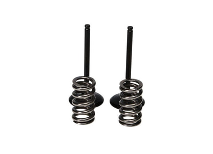 ProX 07-22 RM-Z250 Steel Exhaust Valve/Spring Kit 28.SES3338-1 28.SES3338-1 User 1