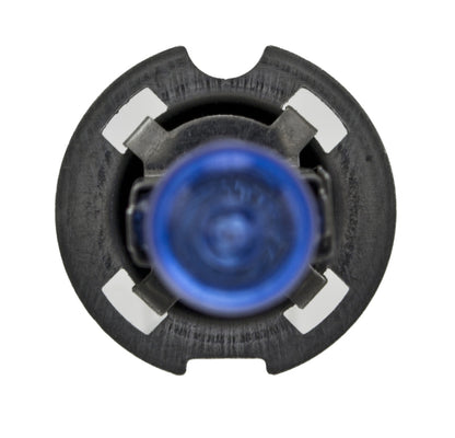 Hella Bulb H3C 12V 55W Xen Wht Xb (2) H71071322 H71071322 Photo - Close Up