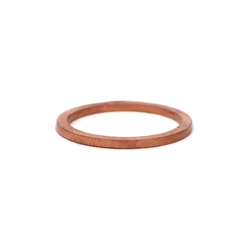 BLOX Racing Fuel Inlet Fitting Crush Washers - 2 Pack BXFU-04450 BXFU-04450 User 1