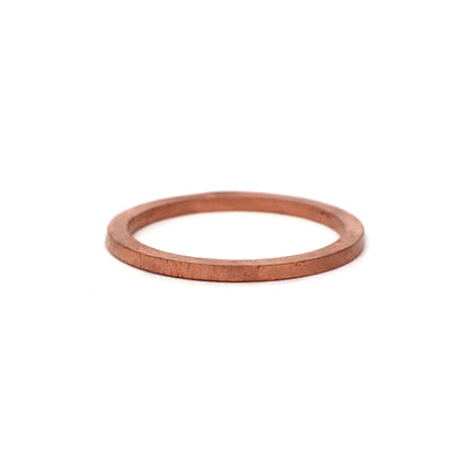 BLOX Racing Fuel Inlet Fitting Crush Washers - 2 Pack BXFU-04450 BXFU-04450 User 1
