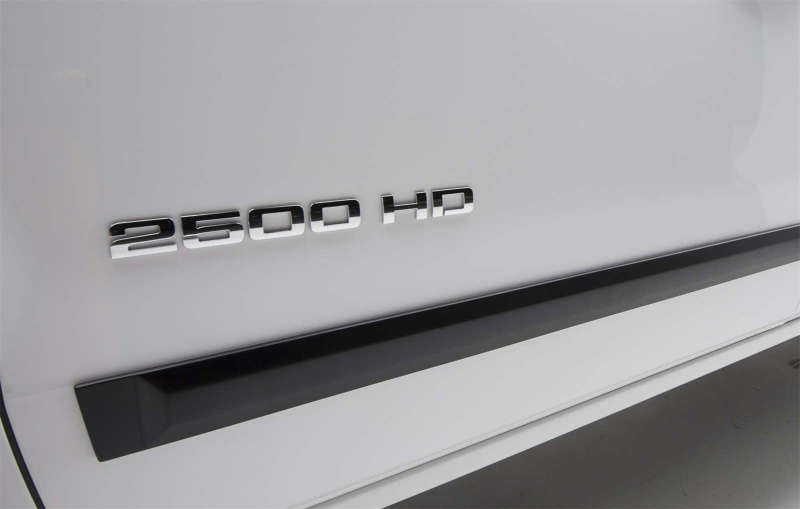 EGR Double Cab Front 41.5in Rear 28in Rugged Style Body Side Moldings 951574 951574 Photo - lifestyle view