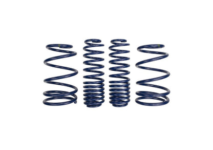 Ford Performance Parts Ford Racing 2007-2014 Mustang Shelby GT500 Springs M-5300-L Photo - Primary