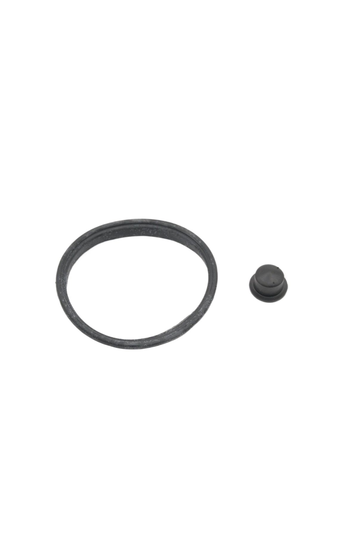 Autobest Fuel Pump and Strainer Set F2918