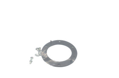 Autobest F4249A Fuel Pump Hanger Assembly