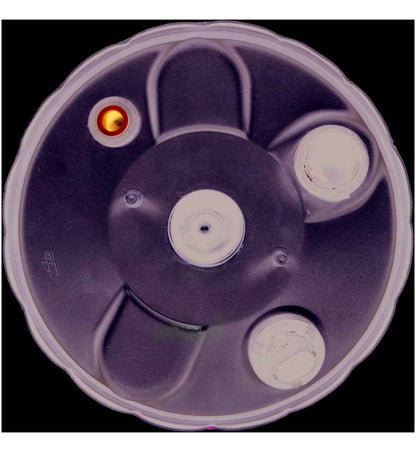 Cardone Reman Remanufactured Vacuum Power Brake Booster 53-9003