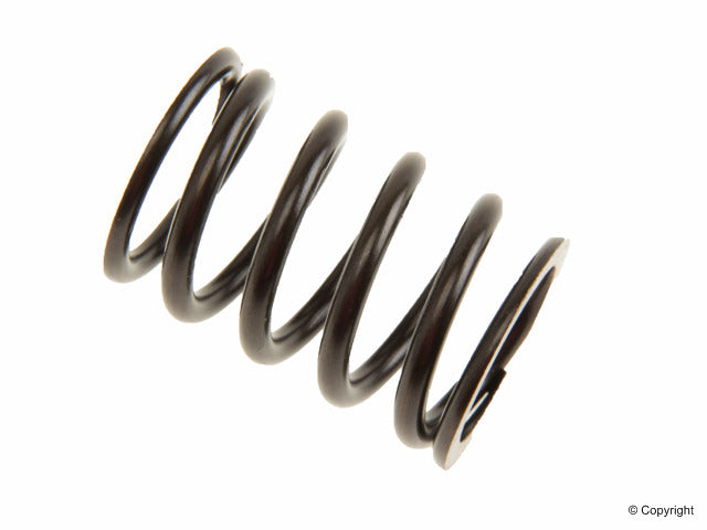 AMC Engine Valve Spring