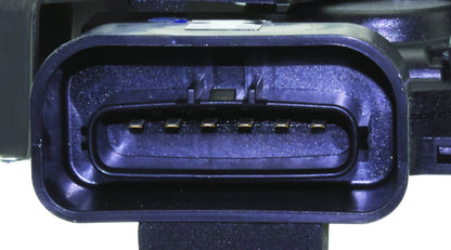Aisin DLT044 image 4