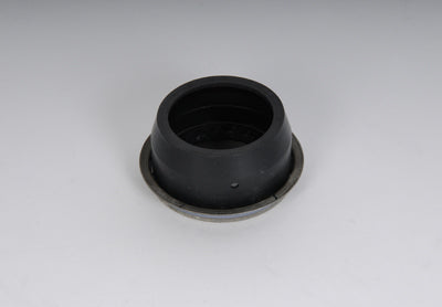 AC Delco 24233898