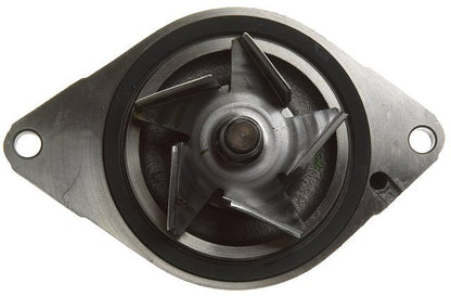 AC Delco 252-318