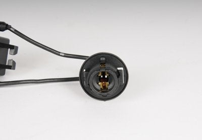 AC Delco LS118