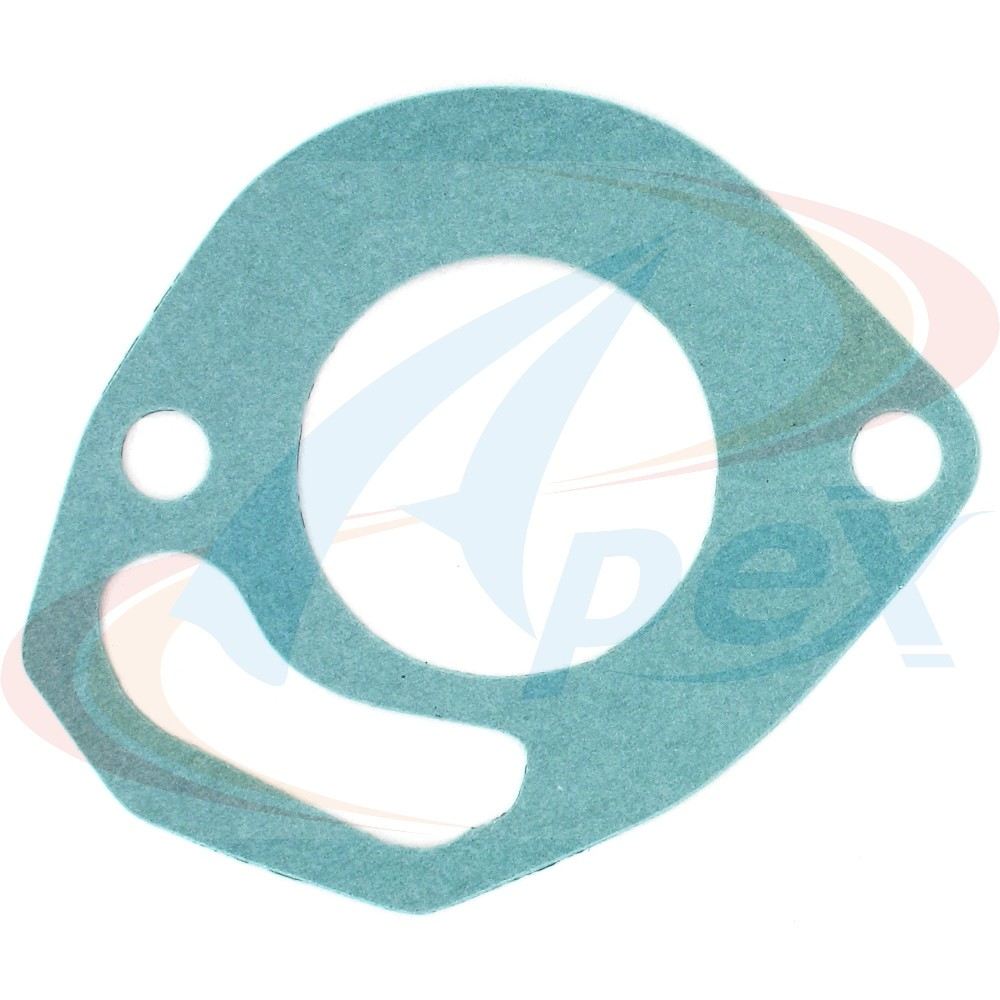 Apex Gasket AWO2007