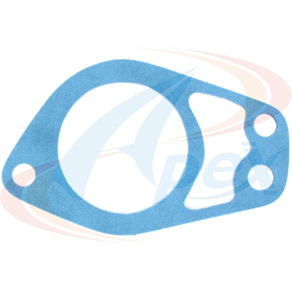 Apex Gasket AWO2021