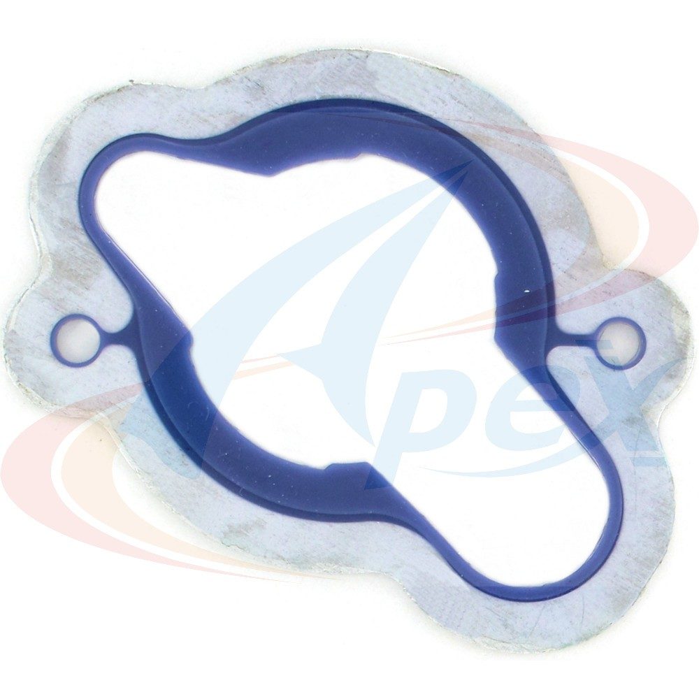 Apex Gasket AWO2087