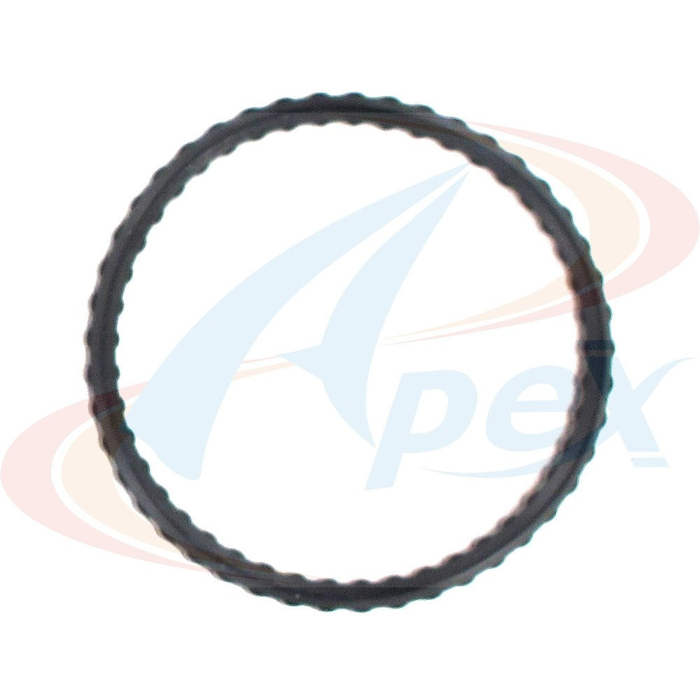 Apex Gasket AWO2198