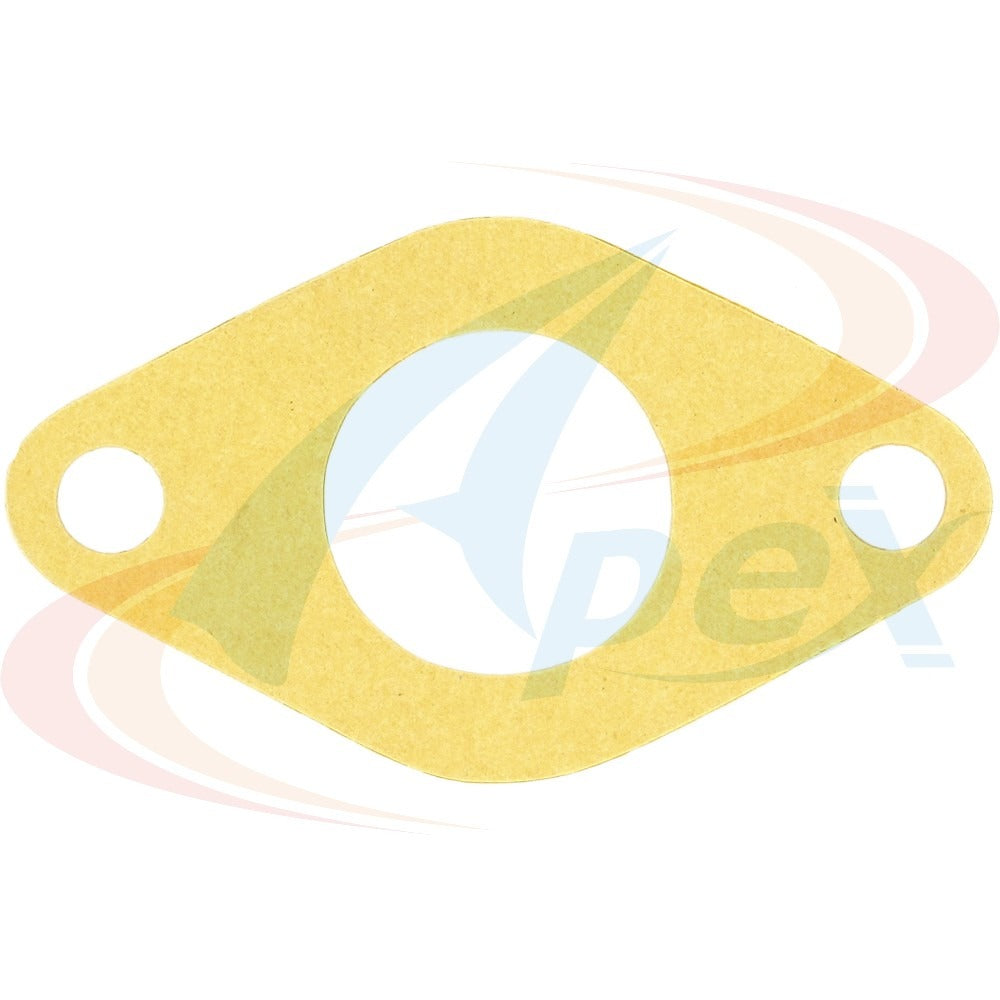 Apex Gasket AWP3021