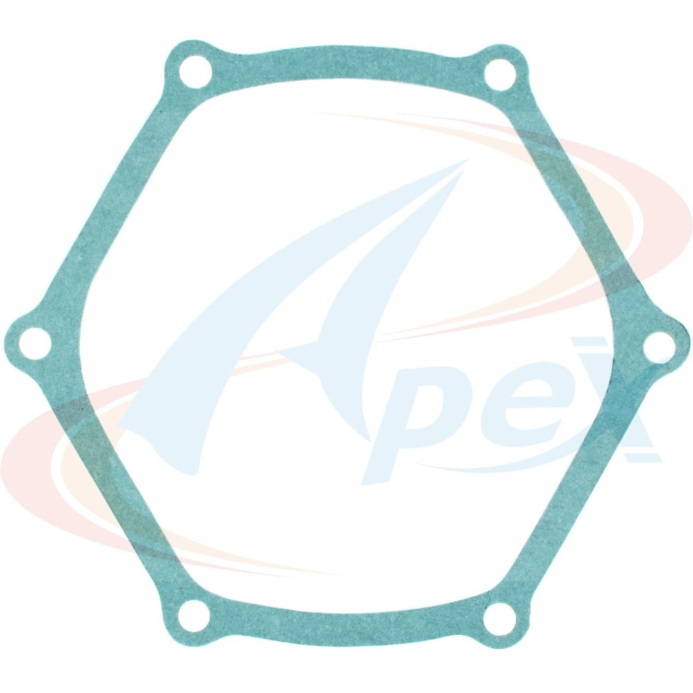 Apex Gasket AWP3022