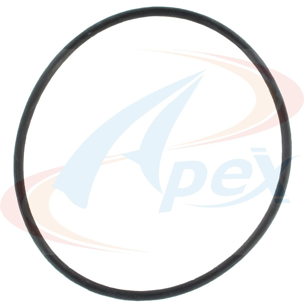 Apex Gasket AWP3079