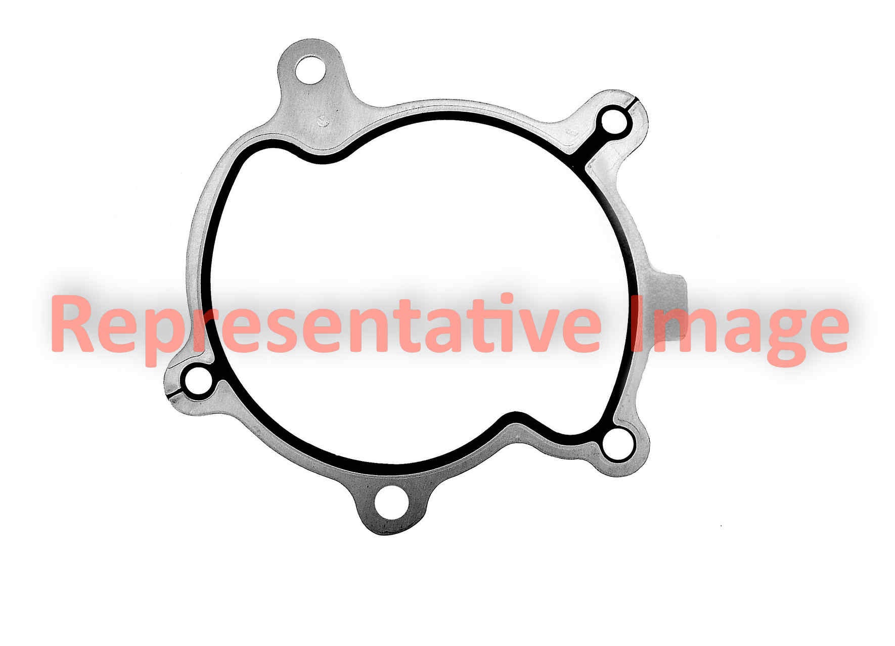 Apex Gasket AWP3113