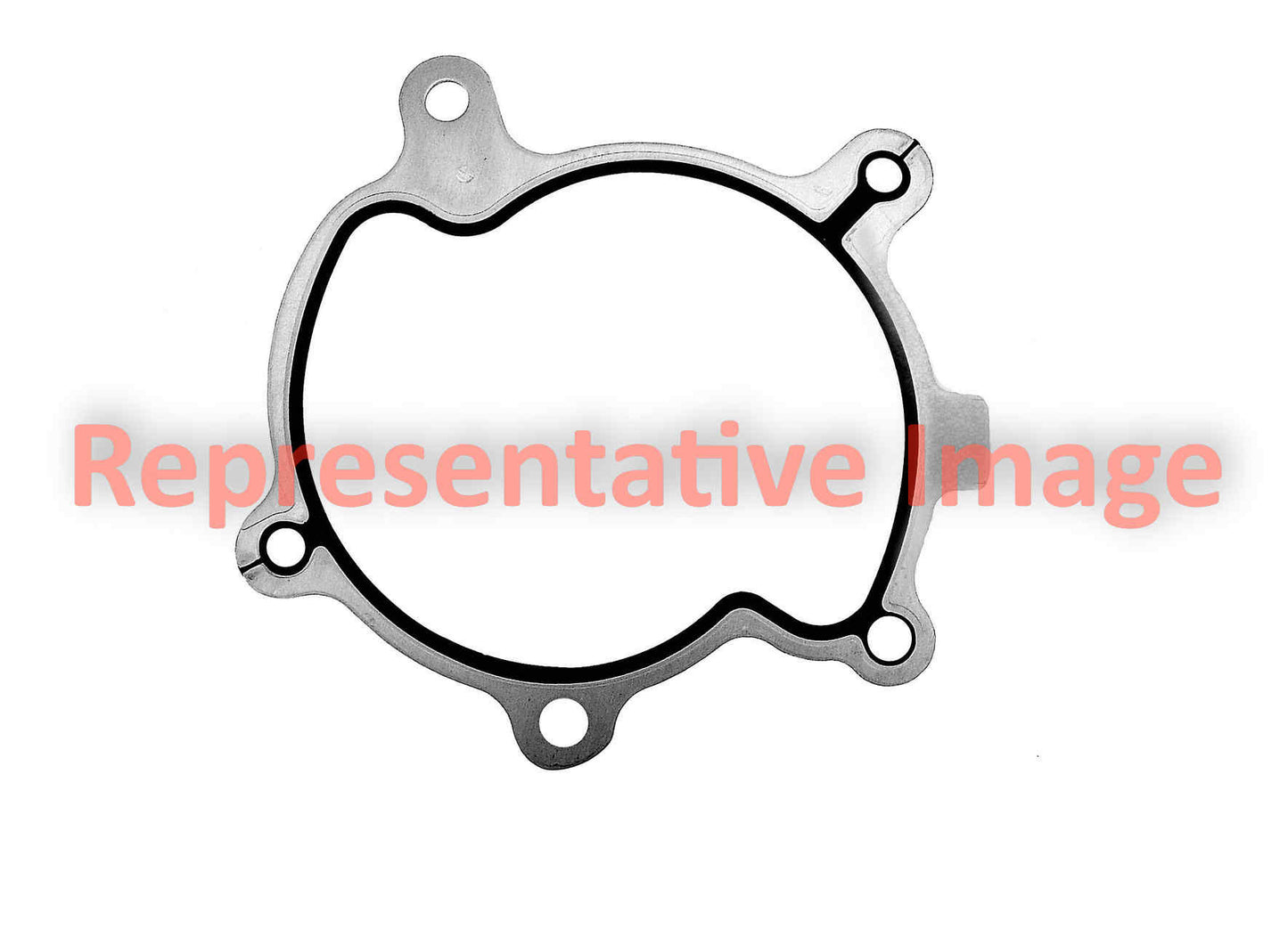 Apex Gasket AWP3138