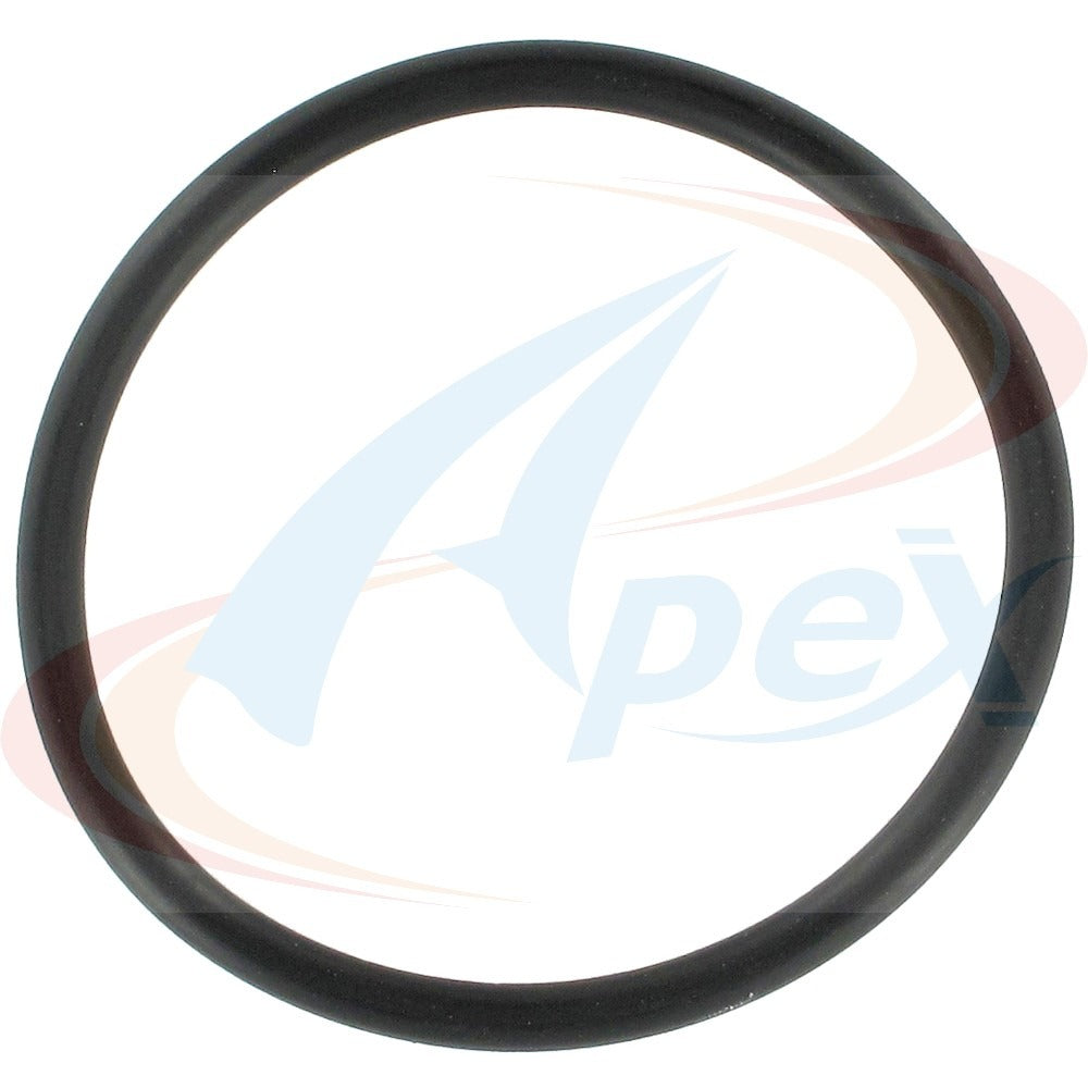 Apex Gasket AWP3166