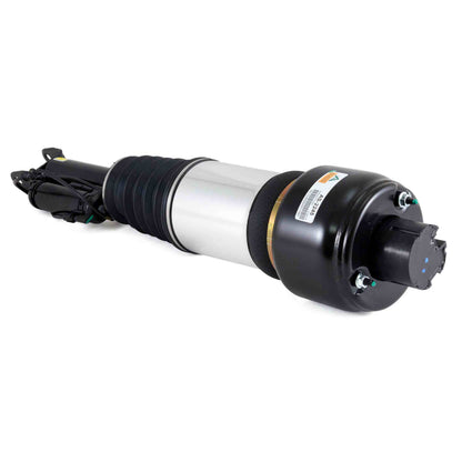 Arnott Industries Suspension Strut Assembly