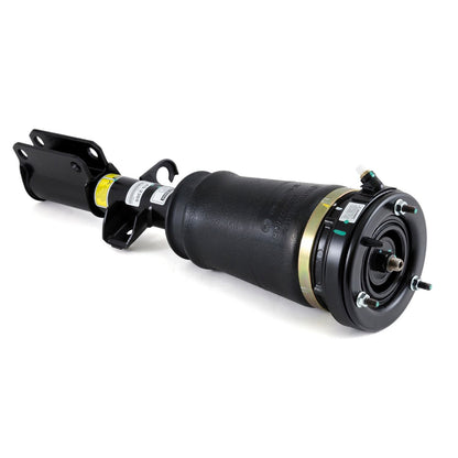 Arnott Industries Suspension Strut Assembly