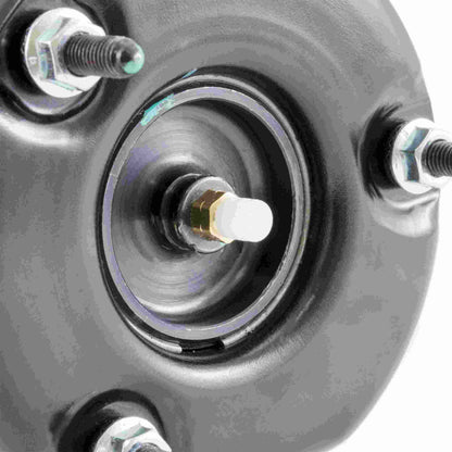 Arnott Industries Suspension Strut Assembly