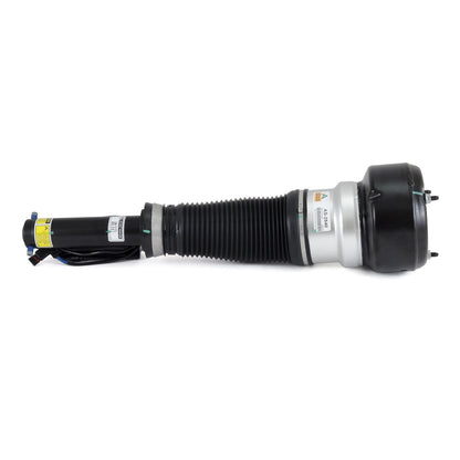 Arnott Industries Suspension Strut Assembly