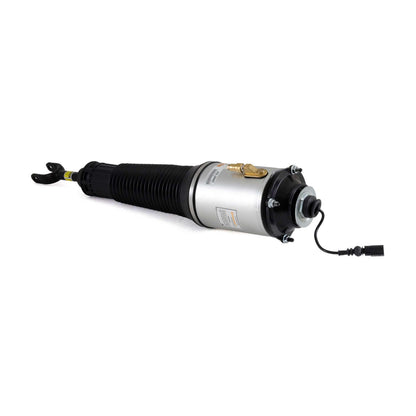Arnott Industries Suspension Strut Assembly