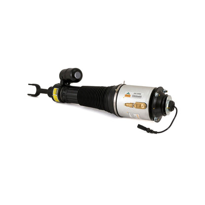 Arnott Industries Suspension Strut Assembly