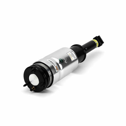 Arnott Industries Suspension Strut Assembly