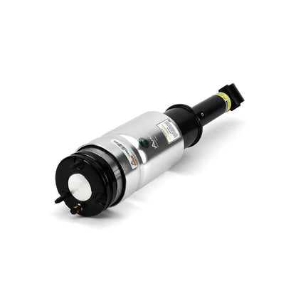 Arnott Industries Suspension Strut Assembly