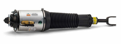 Arnott Industries Air Suspension Strut AS-2893