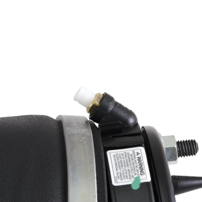 Arnott Industries Suspension Strut Assembly