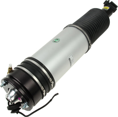 Arnott Industries Suspension Strut Assembly