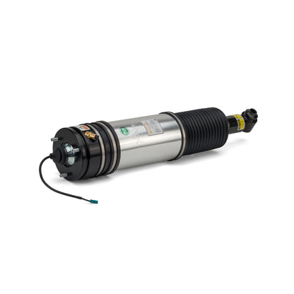 Arnott Industries Suspension Strut Assembly