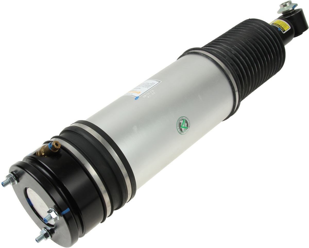 Arnott Industries Suspension Strut Assembly