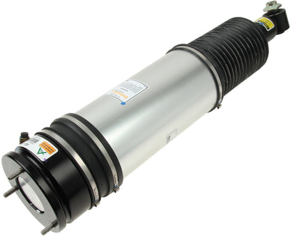 Arnott Industries Suspension Strut Assembly