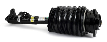 Arnott Industries Air Suspension Strut AS-3422